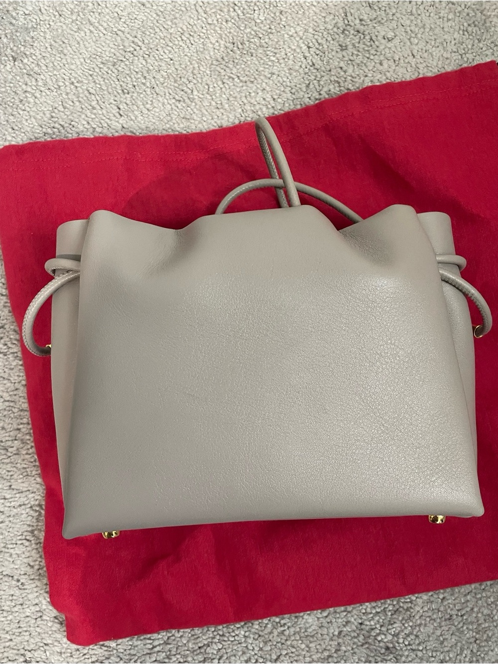 Carolina Herrera Leather Drawstring Crossbody Bucket Bag with Gold Hardware - Picture 6 of 12